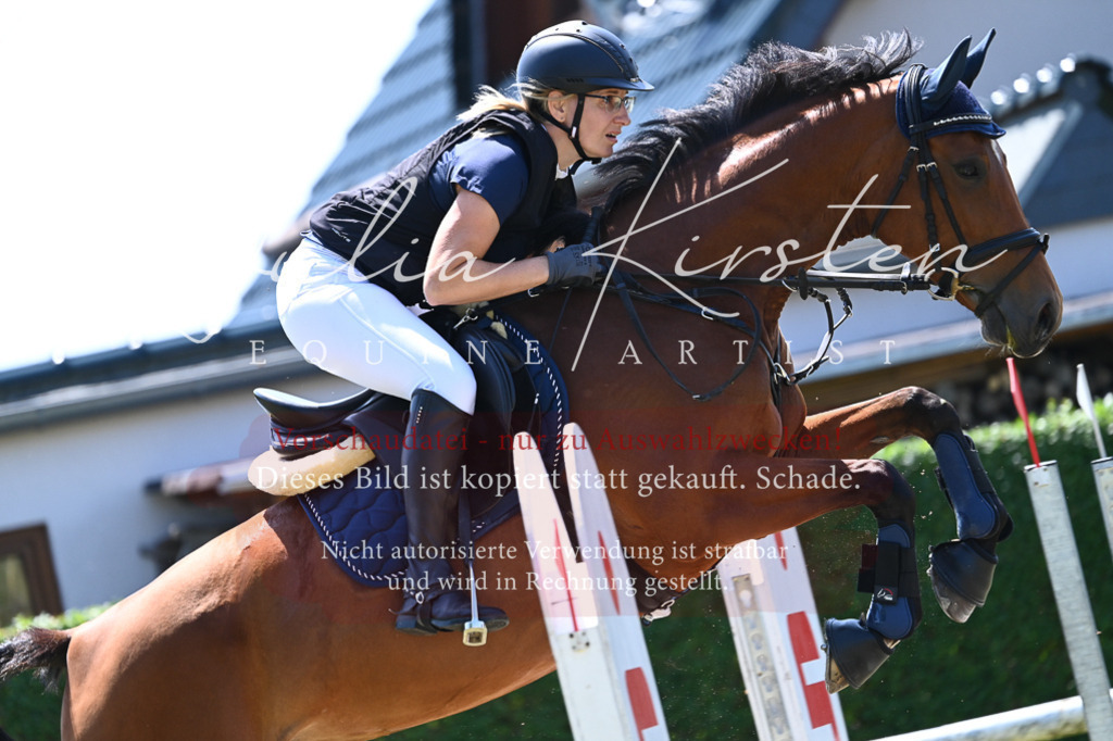 DSC_0642 | Pferde- und Turnierfotografie in Westsachsen. Pferdeportraits, Auftragszeichnungen und intuitive Kunst.