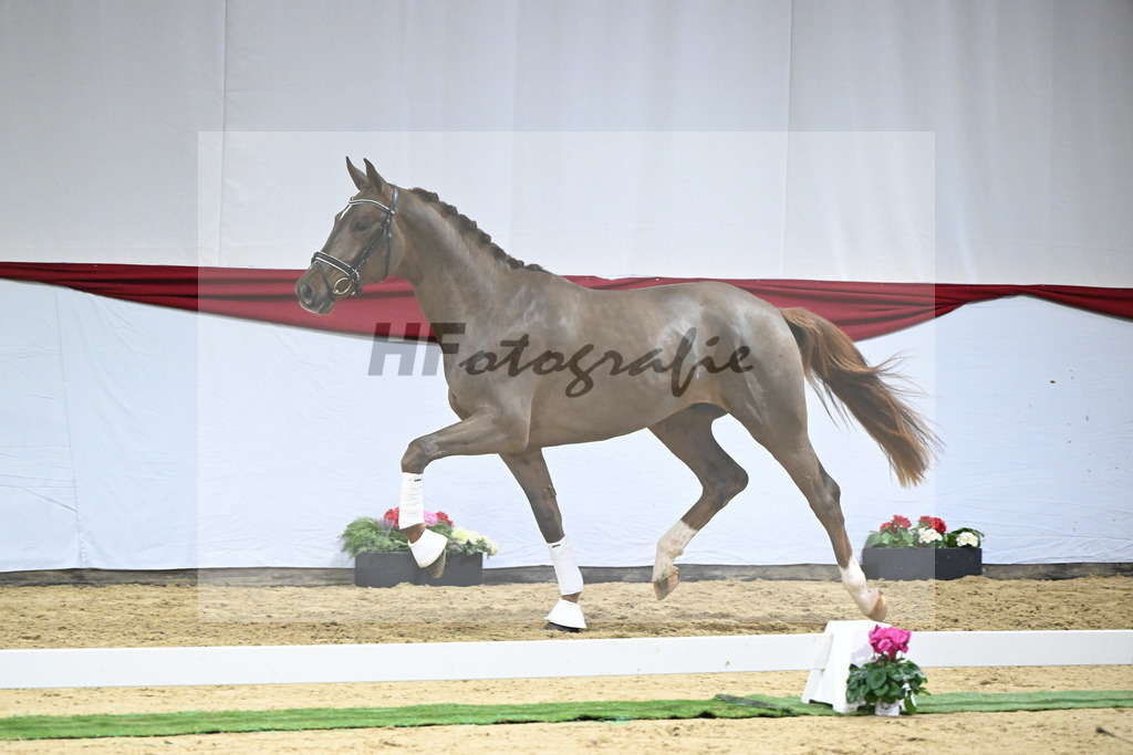 Kat-Nr. 56 v. Feinrich_Fink_63221692 | hf-fotografie - Realizzato con Pictrs.com