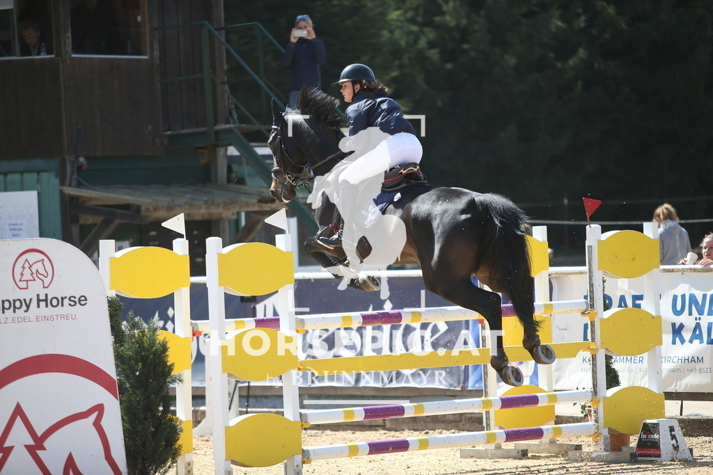 PP014883 | Willkommen bei Brunnmayr - Design & Fotografie – Ihrem Spezialisten für Reitturniere und Pferdeveranstaltungen in Oberösterreich, Salzburg und Bayern! Seit über 17 Jahren sind wir leidenschaftlich dabei.