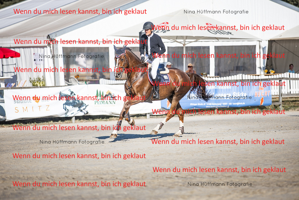 BK1A8569 | Turnierbilder Turnierfotos Nina Hüffmann Turnierfotografie Pferdefotografie Tierzeichnung Haustierzeichnung Pferdezeichnung Hundezeichnung Videograf  - Realisiert mit Pictrs.com