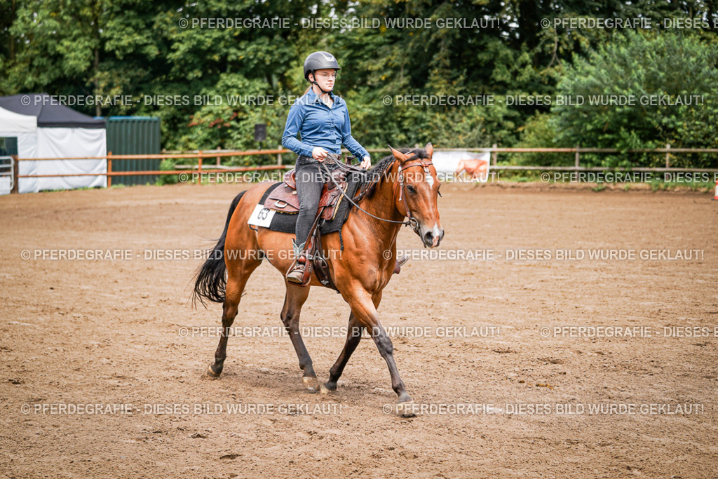 DSC05753 | Pferdegrafie