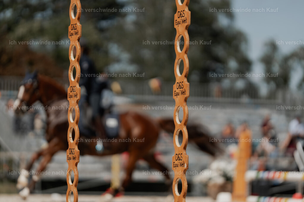 WE_ST_Stoib_342_PI2025_1423 | 330Pferd International München 2025