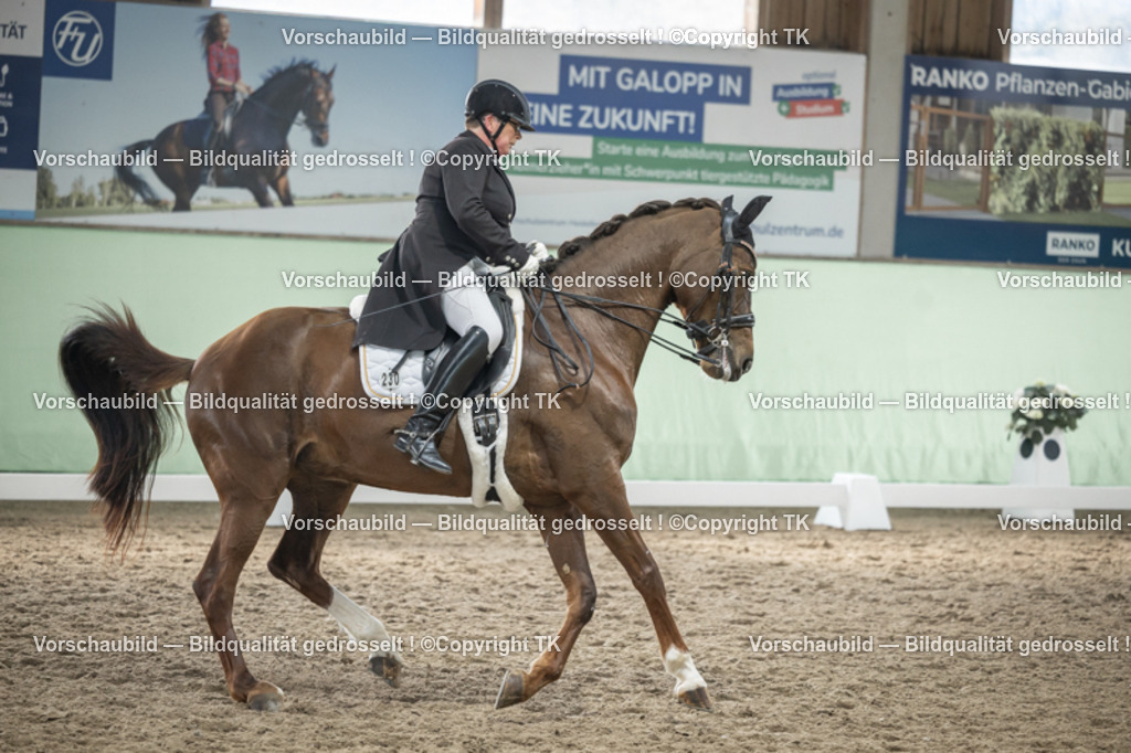 _D5A5348 | Emotionale Pferde- & People-Fotografie rund um Heidelberg, Leimen & Umgebung. Natürliche Fotos von Pferd, Mensch & Familie. Jetzt Termin sichern!