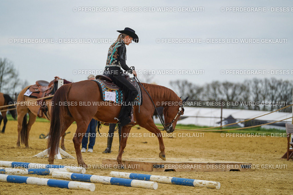 DSC02704 | Pferdegrafie