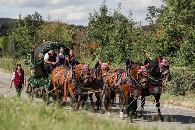 7V6A2995 | natalia-nirschl-photography