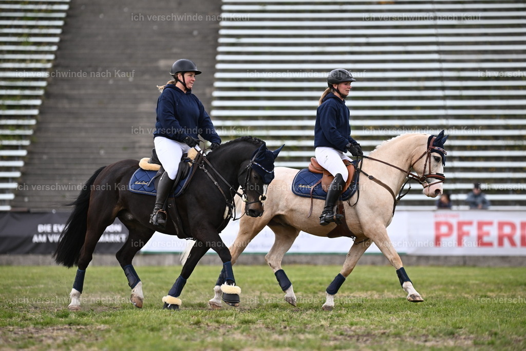 PI26_Show_Sara_Landvogt_226_1798.JPG | working equitationturnier fotograf videograf stoibphotography marixx film working equitation deutschland reitsport turnierfotografie eventfotografie equestrian events