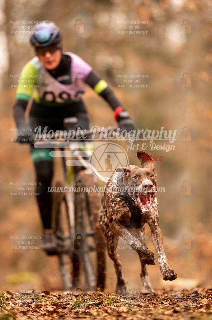 AKM_ST_2023_SAM_Bike-88 | PayLife