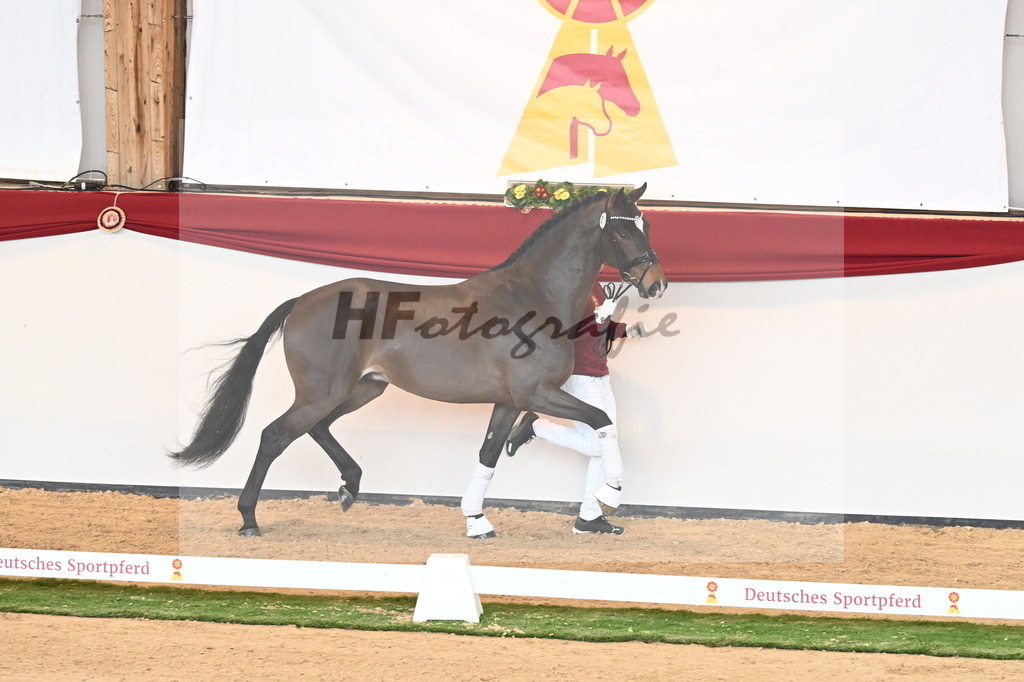 Kat.-Nr. 71 v. Va Bene_Müller_2240943 | hf-fotografie - Realisiert mit Pictrs.com