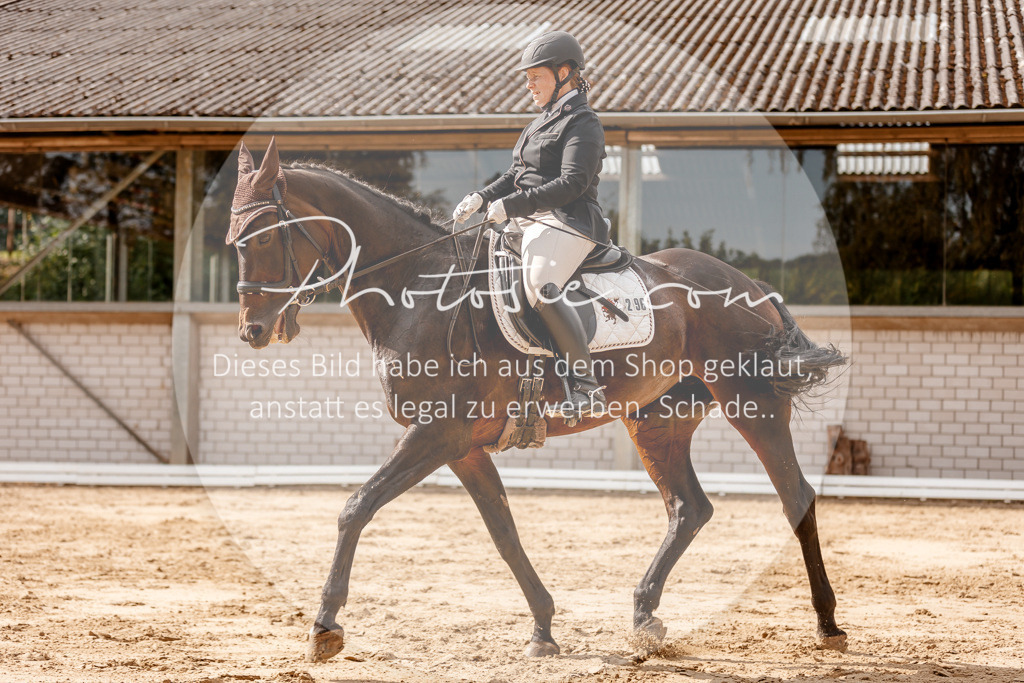 3I6A3568 | Stimmungsvolle Portraits und Reitsportfotografie im Ruhrgebiet und im Münsterland.

Pferdefotografie, Hundefotografie, Tierfotografie, Reportagen, Portraits von Tier und Mensch, Turnierfotografie in Bochum, Recklinghausen, Marl, Haltern am See, Dülmen.. - Realisiert mit Pictrs.com