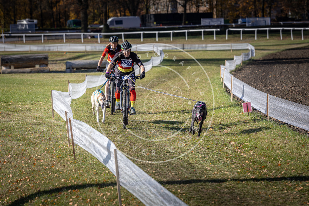 CaniXpix_DV3A6901 | Hundefotografie, Tierfotograf, Pfotenfotografie, Fotoshooting Hund, Hunde Portrait, Hundesport, Hundeportraits, Heideshooting, Hunde, Sportfotograf, Hundefotograf, Turnierhundsport, THS,  - Realisiert mit Pictrs.com