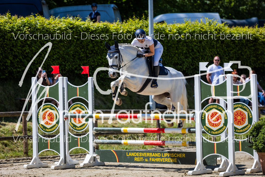 Donop24-Stil-L-040 | MomenTaufnahmen Pferdesportfotos