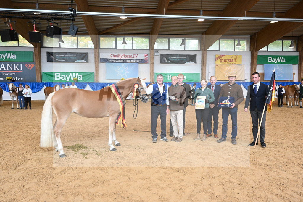 Kat-Nr. 259 Odette K_Kappelsberger_54224085 | hf-fotografie - Realisiert mit Pictrs.com