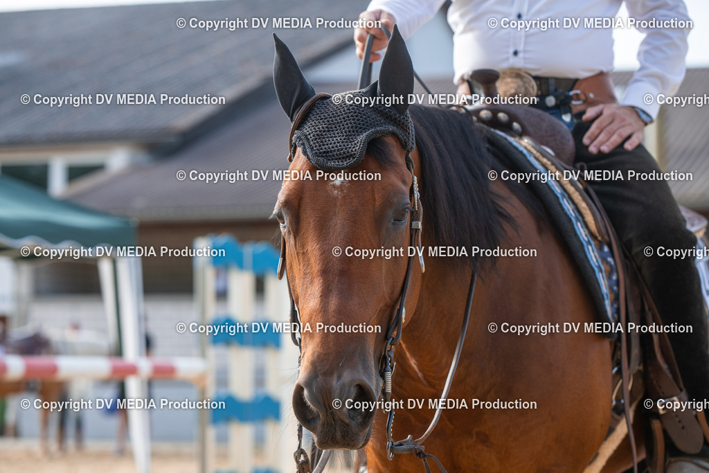 EWP_5764 | dv-media-shop - Realisiert mit Pictrs.com