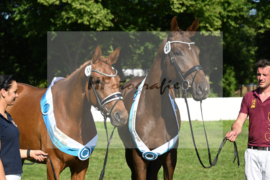 Kat-Nr. 43 Bonjour la Rouge K v. Dynamic Dream_Silvestre u Kat-Nr. 57 Thalya W v. Va Bene_Winklmaier_19251509 | hf-fotografie - Realizzato con Pictrs.com