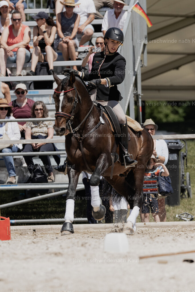 WE_SP_Stoib_330_PI2025_1997 | Pferd International München 2025