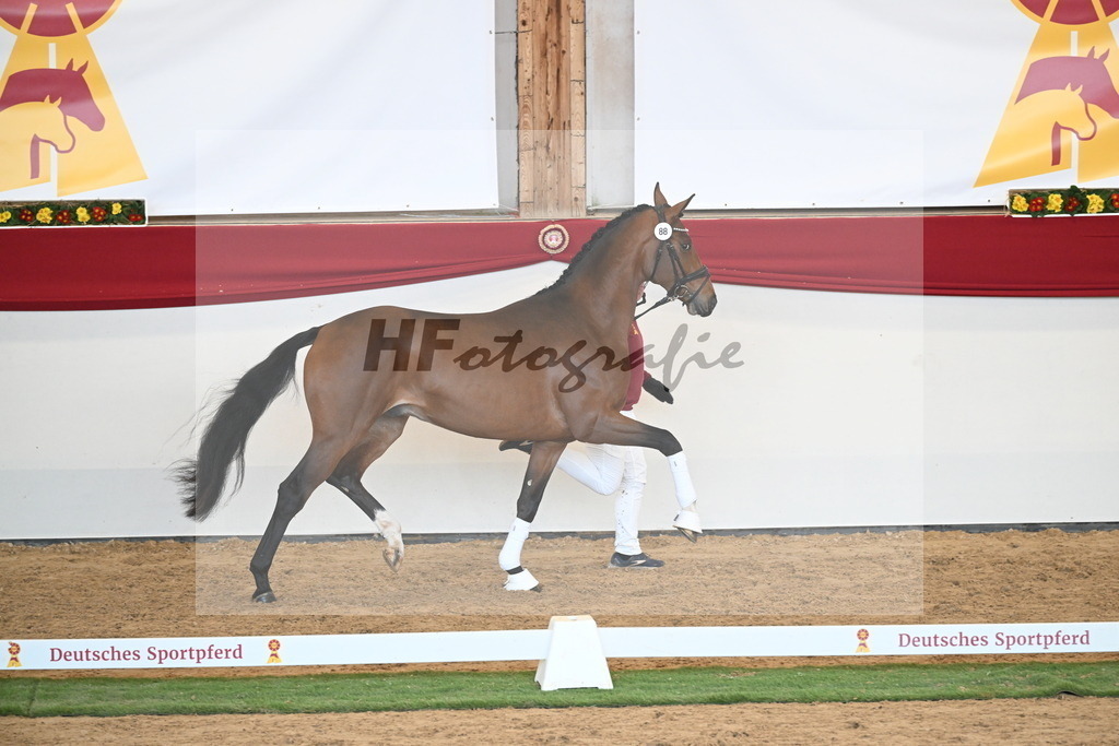 Kat.-Nr. 88 v. Vitalis_Schlamminger_2250667 | hf-fotografie - Realisiert mit Pictrs.com