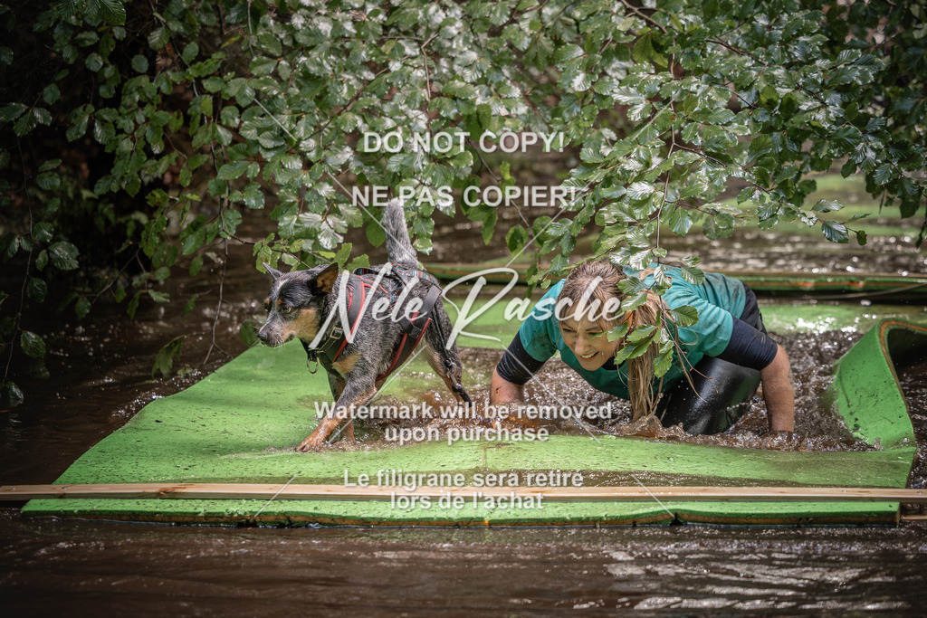 nelerasche_Wingst_Sa1330-1400_257 | nelerasche