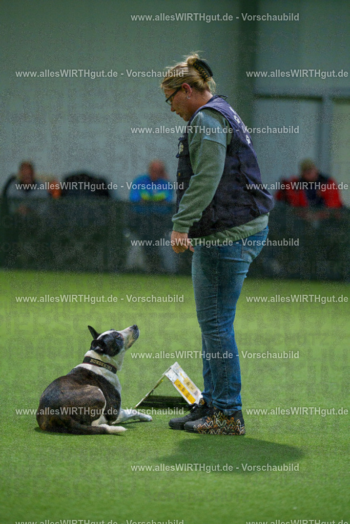 7R509832 | Professionelle Tierfotografie in Mönchengladbach von Daniel Wirth (allesWIRTHgut). Liebevolle & natürliche Bilder von Hunden & Katzen für unvergessliche Erinnerungen.
