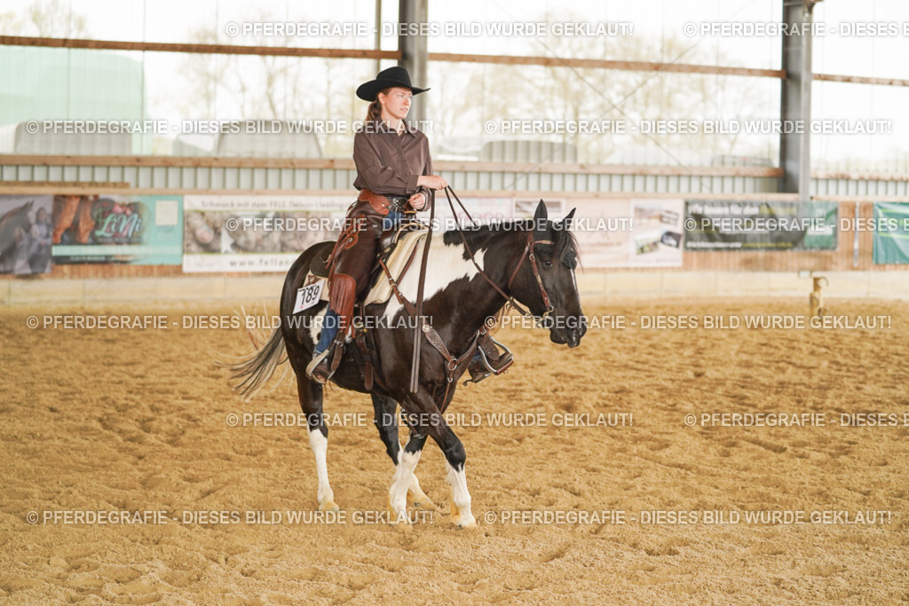 DSC04768 | Pferdegrafie