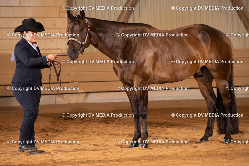 NID00038 | dv-media-shop - Realisiert mit Pictrs.com