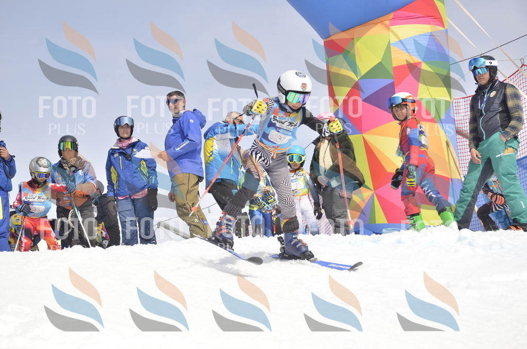 _ELE8671 | holidayphoto