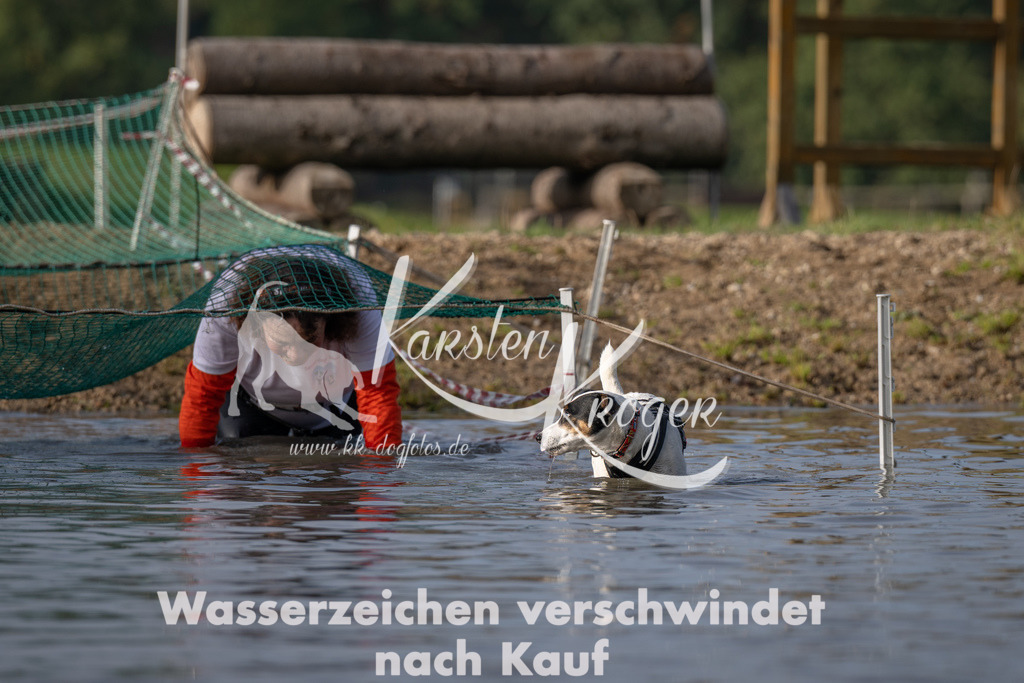 1013_ZZ92389 | kk-dogfotos