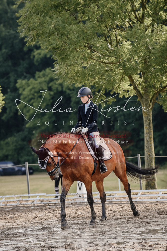 DSC_8131 | Pferde- und Turnierfotografie in Westsachsen. Pferdeportraits, Auftragszeichnungen und intuitive Kunst.