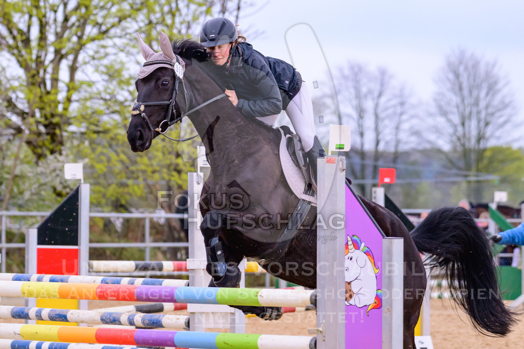 10042026-Mammendorf-Prfg17-0812 | Fokus Hufschlag Fotografie - Realisiert mit Pictrs.com