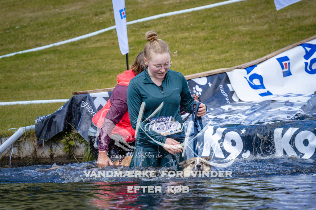 _ZZ948971004 | kk-dogfotos