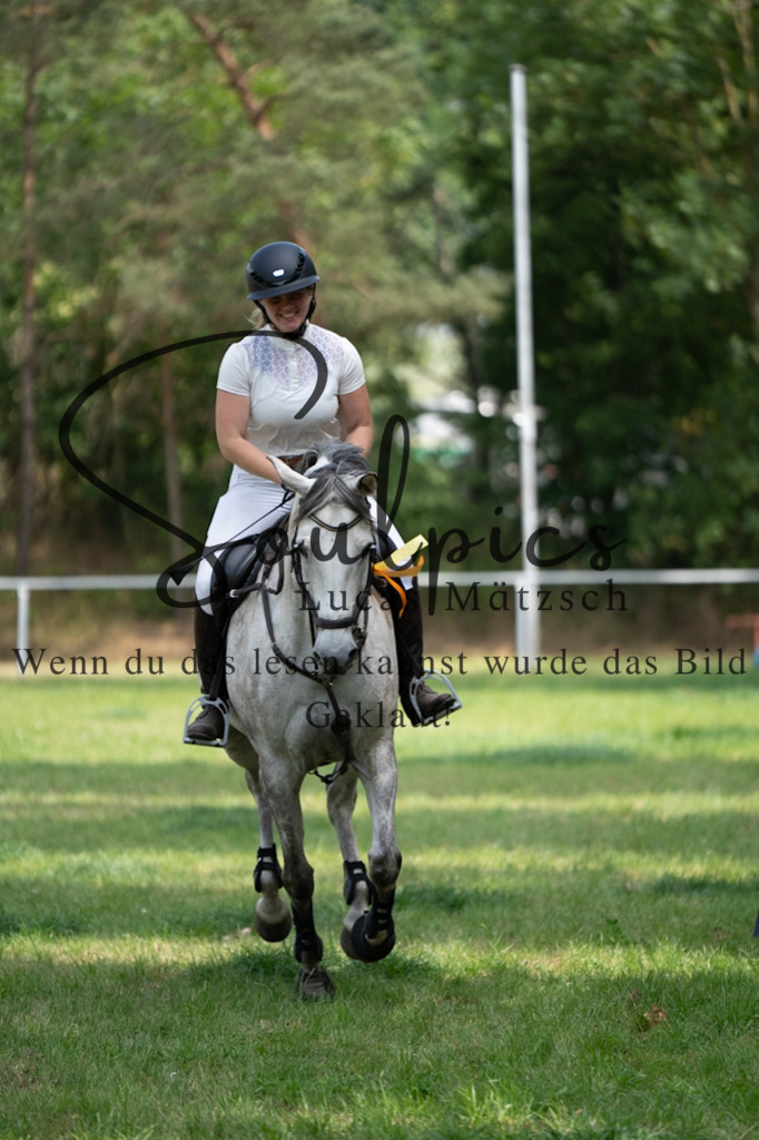 A7V07536 | Pferdefotograf