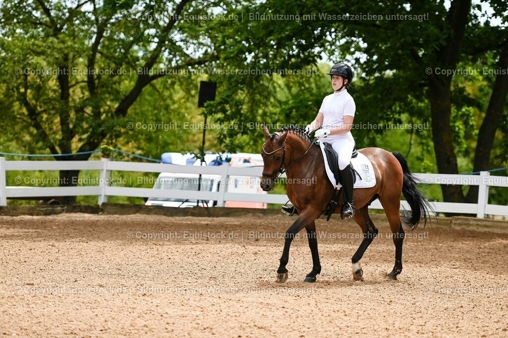 20230715_05_Dressurprüfung Kl.A++_0014 | equistock
