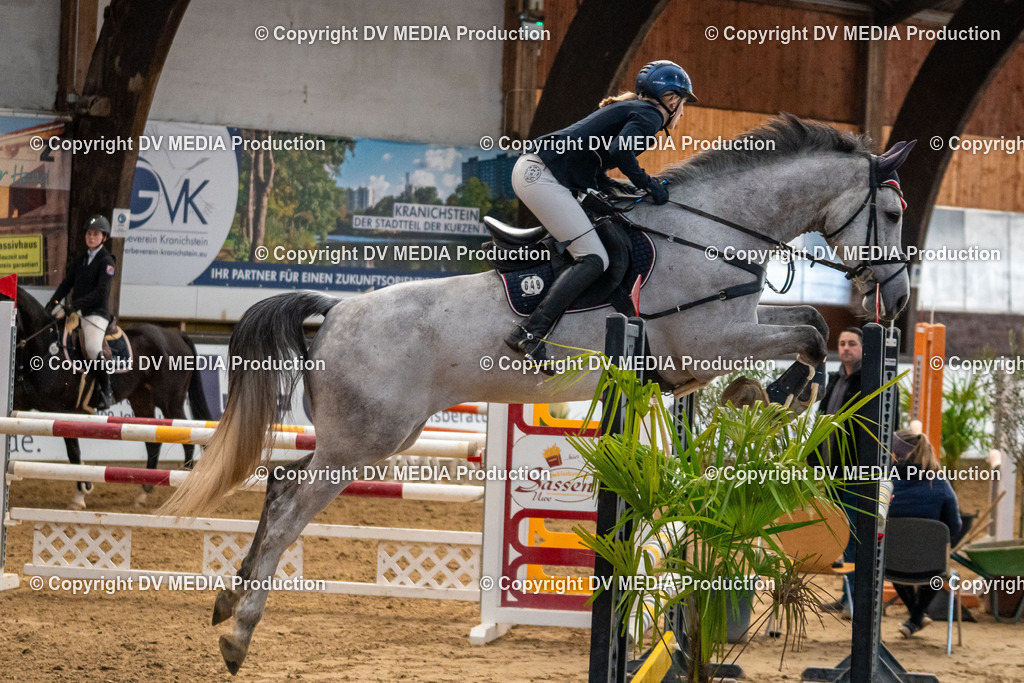 Kranichstein Tag 2-263 | dv-media-shop - Realisiert mit Pictrs.com