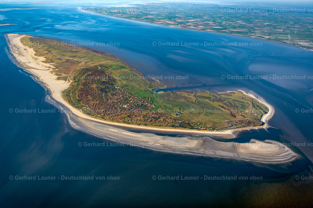 3801439 | Spiekeroog Nationalpark Niedersächsisches Wattenmeer