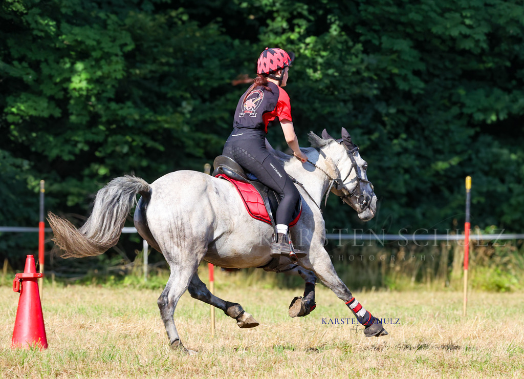 1B3A8406 | Reitsport Reiten