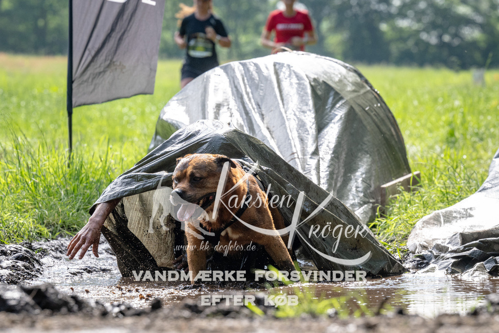 0913_ZZ90337 | kk-dogfotos