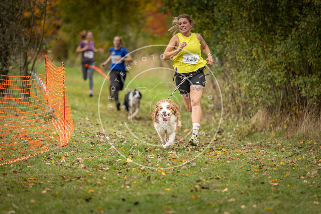 Pfotenfotografie_DV3A4498 | Hundefotografie, Tierfotograf, Pfotenfotografie, Fotoshooting Hund, Hunde Portrait, Hundesport, Hundeportraits, Heideshooting, Hunde, Sportfotograf, Hundefotograf, Turnierhundsport, THS,  - Realisiert mit Pictrs.com