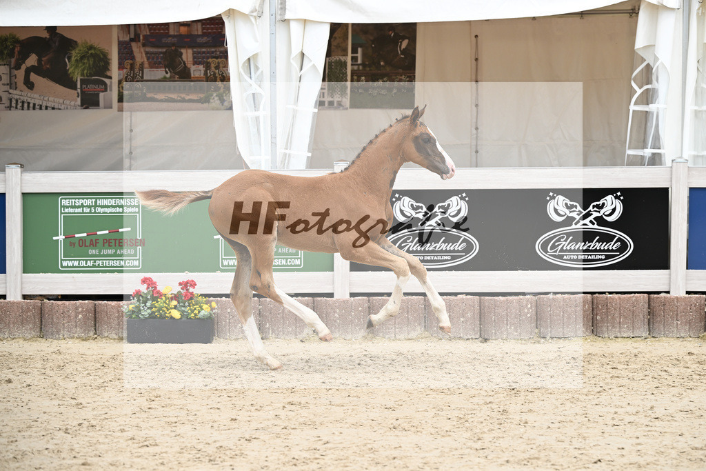 Filox x Borsalino_HF_Geiger_12250602 | hf-fotografie - Realisiert mit Pictrs.com