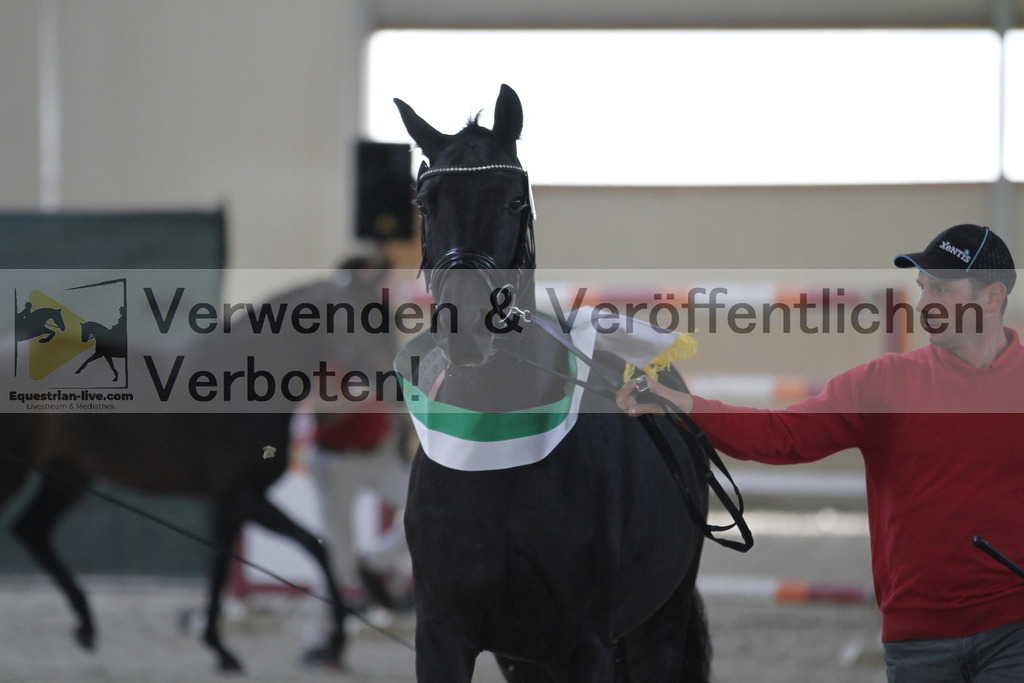 _MG_0121 | equestrian-live-com