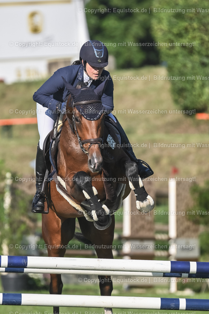 20230908_14-15_Springpferde-A_0065 | equistock