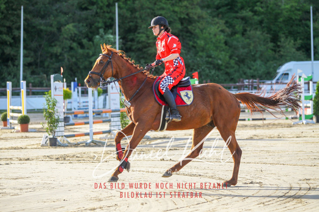 DKP45137 | Turnierfotos kaufen im Webshop von Daniel Kuhl Photography – entdecke professionelle Reitsportfotos aus Turnieren & Events. Hochwertige Turnierbilder online bestellen & sichern. Jetzt Fotos von Reitsportturnieren kaufen!