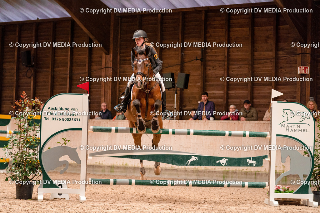 Springen Tag 3-313 | dv-media-shop - Realisiert mit Pictrs.com