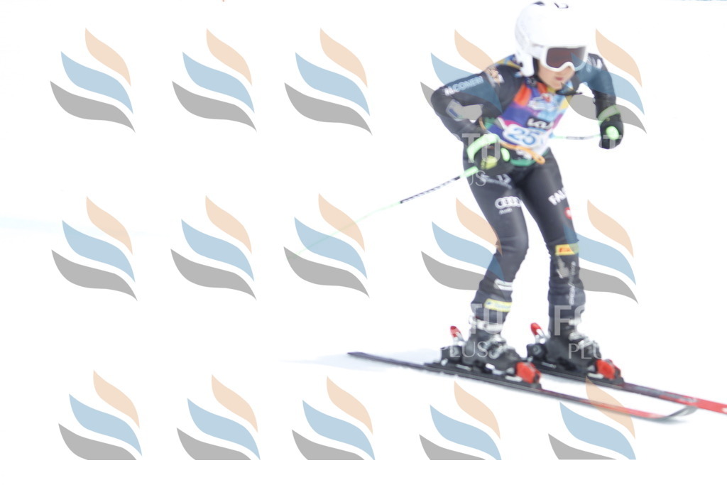 _U3G2924 | holidayphoto