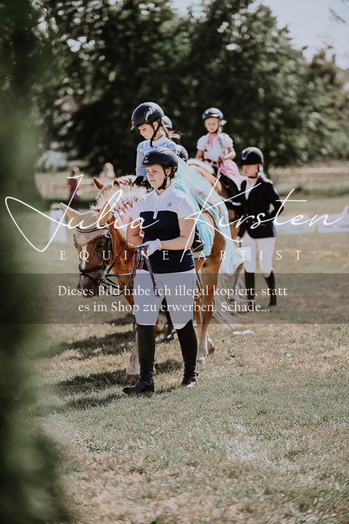 DSC_8983 | Pferde- und Turnierfotografie in Westsachsen. Pferdeportraits, Auftragszeichnungen und intuitive Kunst.