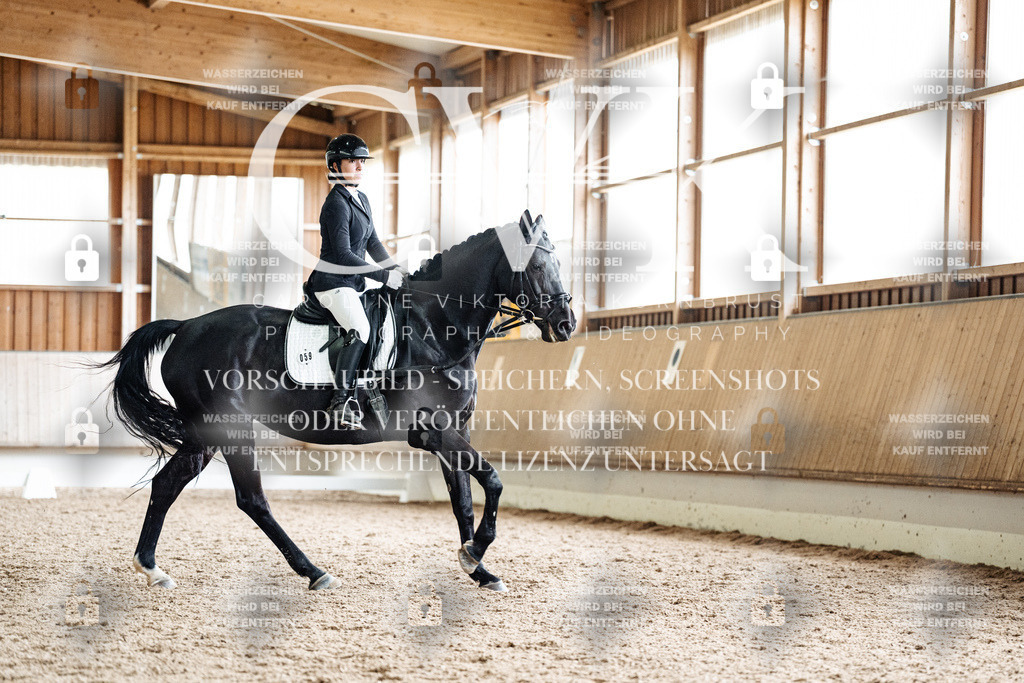 CK901057 | Turnierfotografie Pferdefotografie Trier Rheinland-Pfalz Pferdesport Reitsport Tierfotografie Sportfotografie Pferdevideo Pferdevideografie Equestrianvideography equestrianphotography  - Realisiert mit Pictrs.com