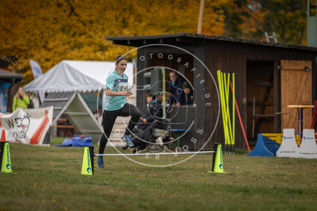 Pfotenfotografie_DV3A4870 | Hundefotografie, Tierfotograf, Pfotenfotografie, Fotoshooting Hund, Hunde Portrait, Hundesport, Hundeportraits, Heideshooting, Hunde, Sportfotograf, Hundefotograf, Turnierhundsport, THS,  - Realisiert mit Pictrs.com