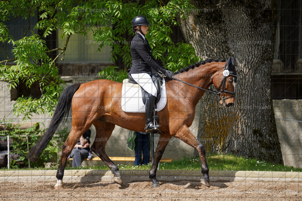 20240519-FAH05016 | Turnierbilder Niederseeon 2024, Vielseitigkeitsdressur, Reitsportbilder aus dem Landkreit Ebersberg, Gut Steinsee, RC Steinsee, Fotoagentur Herrmann