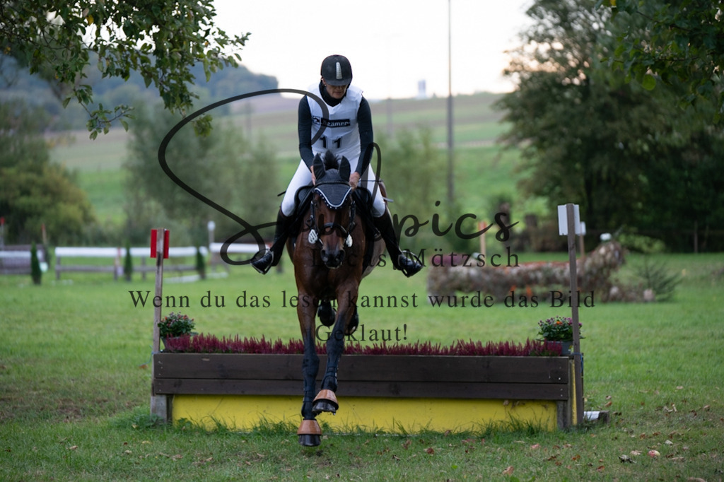 A7V02953 | Turnier/Reitfotograf