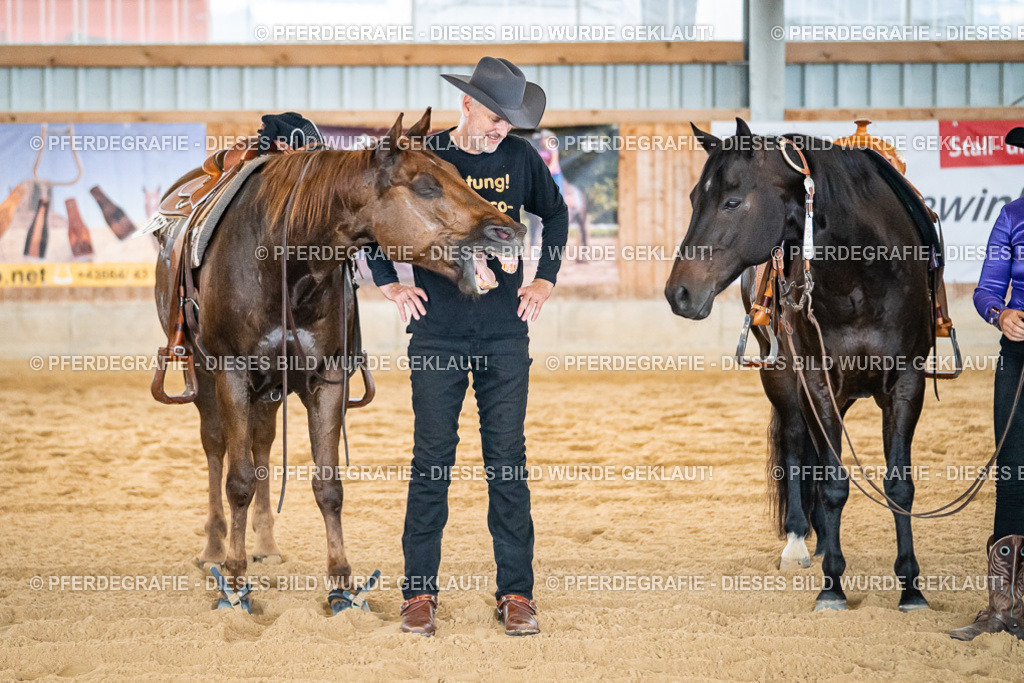 DSC09426 | Pferdegrafie