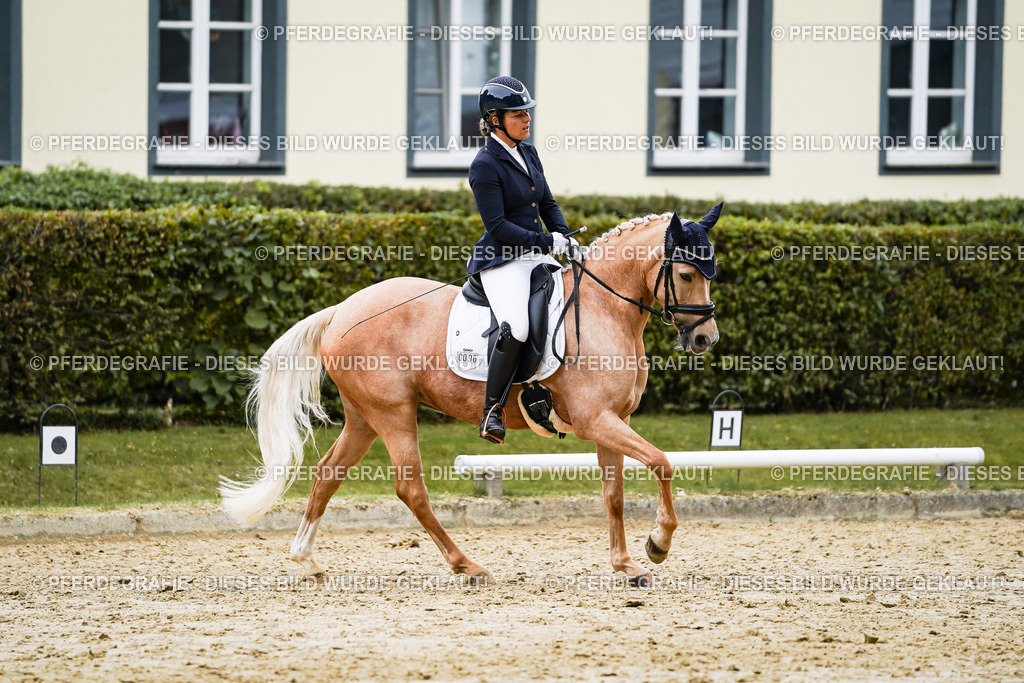 DSC09085 | Pferdegrafie