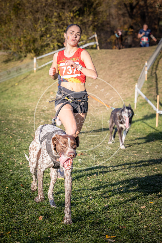CaniXpix_0L8A9823 | Hundefotografie, Tierfotograf, Pfotenfotografie, Fotoshooting Hund, Hunde Portrait, Hundesport, Hundeportraits, Heideshooting, Hunde, Sportfotograf, Hundefotograf, Turnierhundsport, THS,  - Realisiert mit Pictrs.com
